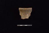 陶片藏品圖，第1張